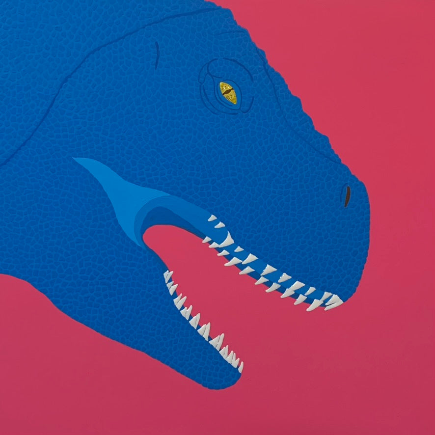 Dinosaur(Pink and Blue)