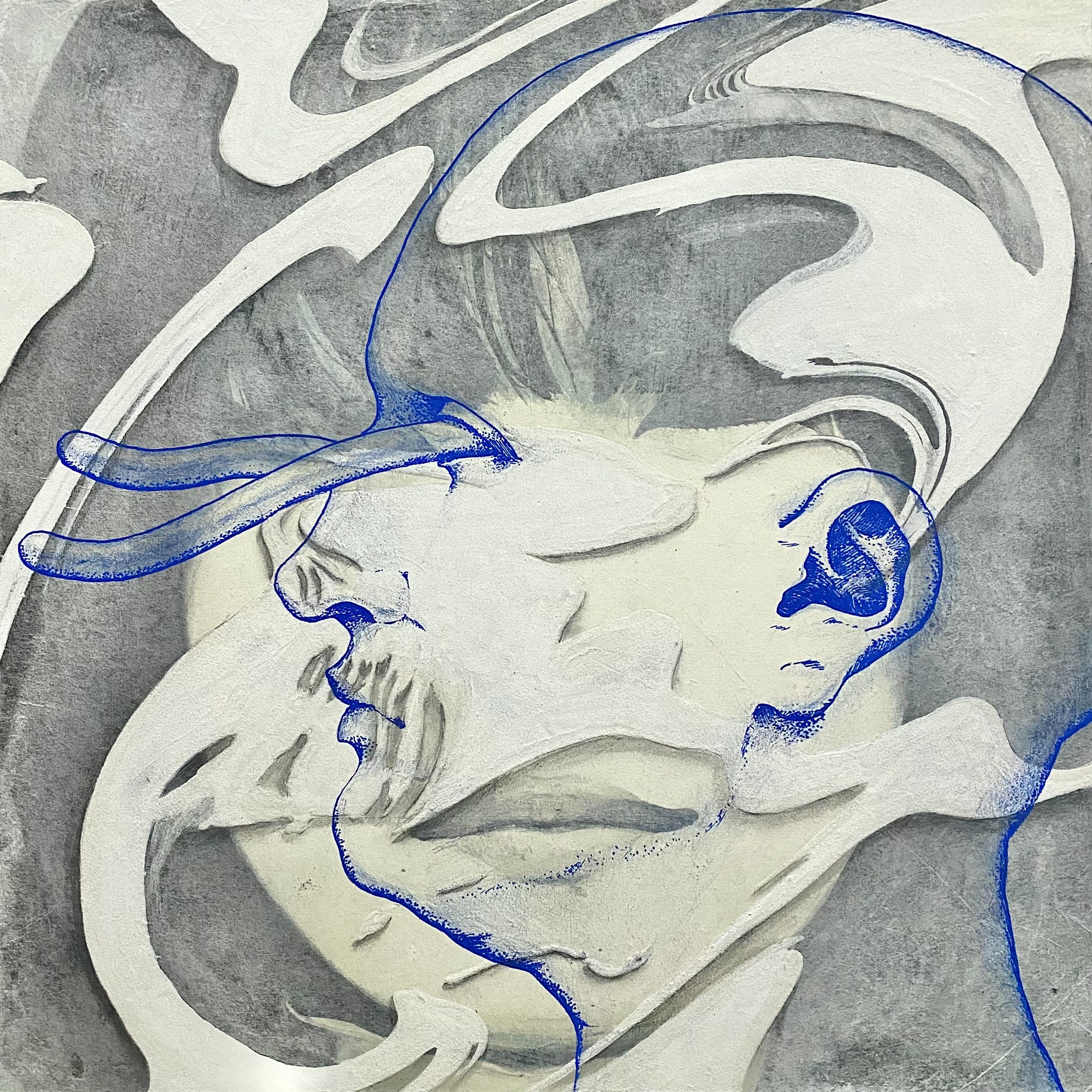 Obscure portrait 12