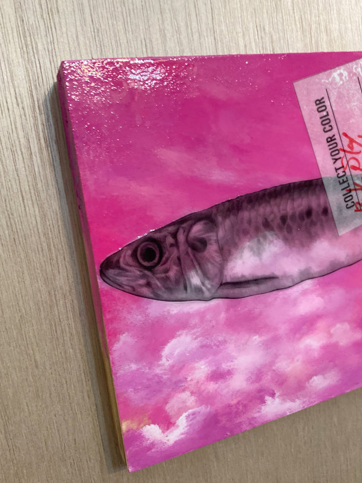 粉红天空沙丁鱼